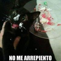 ya chan