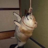 ᴹⁱʳᵃᶜˡᵉ