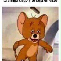 Yoamoelgore