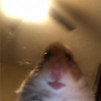 Anghyng