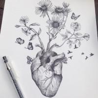🌸castle_18