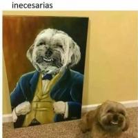 Gerardo Rod