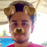 Andres Campos Reyes87493