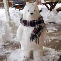 Aurora_boreal14