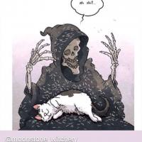 Revenge lover
