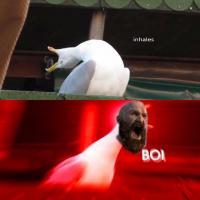 ElPibeTurbulentoAtodogas
