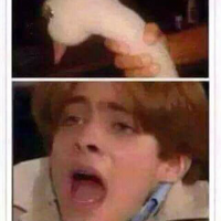 Ganso