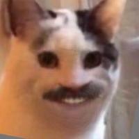 MaxoXD