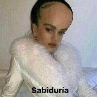 nocbrodiskulp